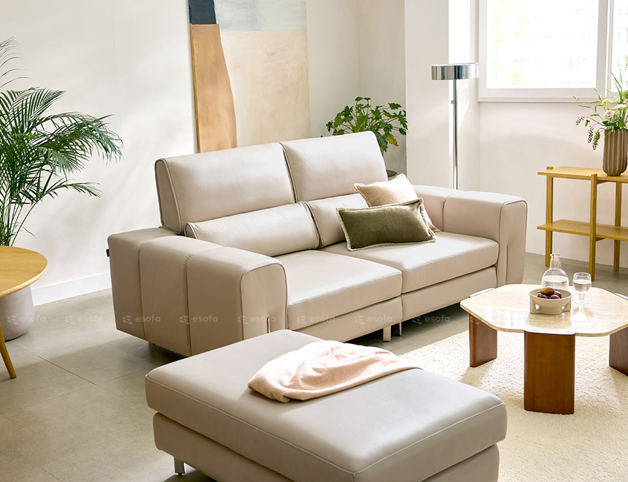 Ghế sofa văng da phòng khách 2 tựa E50