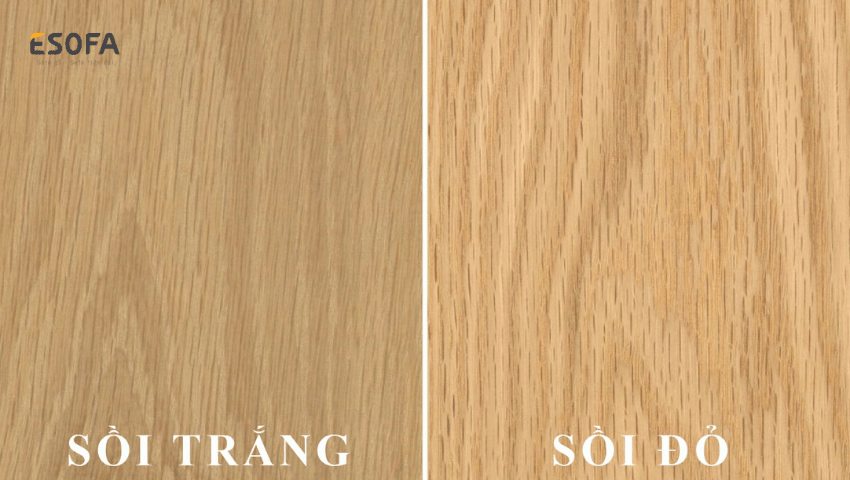 màu sắc gỗ sồi