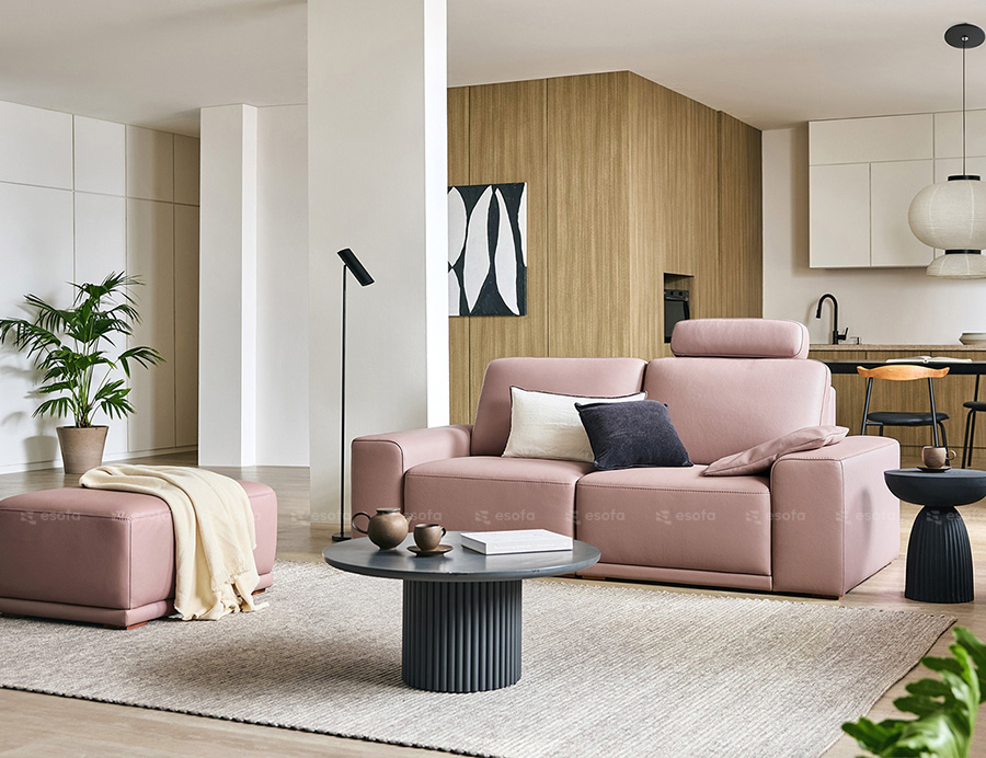 Bộ ghế sofa văng 2 chỗ phòng khách E49