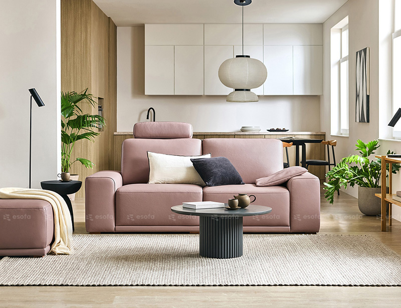 Ghế sofa văng 2 chỗ màu hồng E49