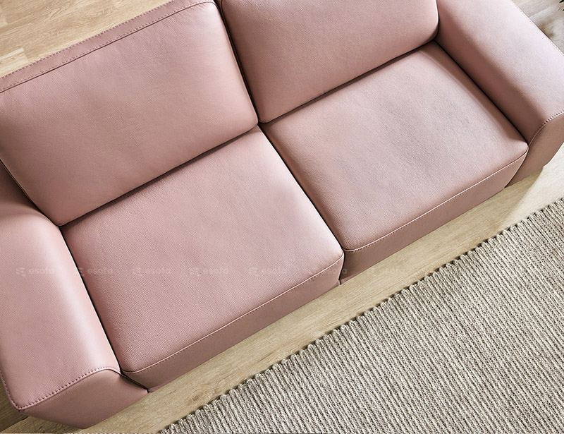 Mặt ghế sofa văng da 2 chỗ E49